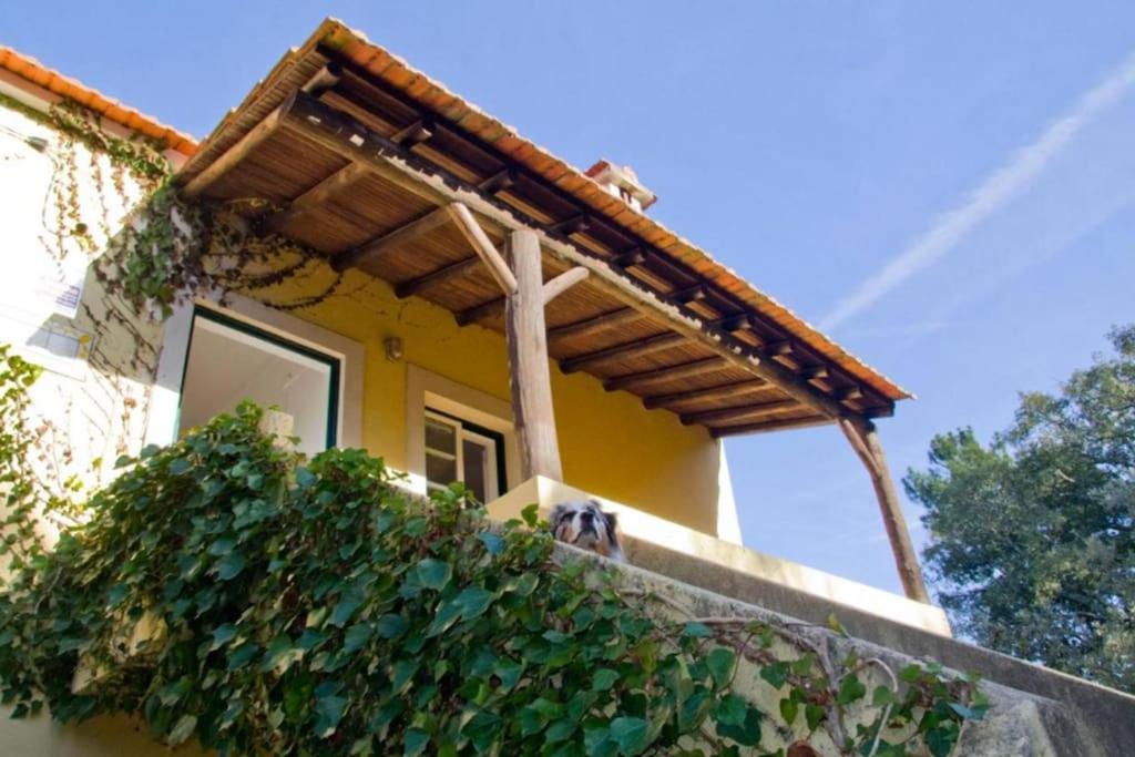 Casa Da Ruiva Villa Serra Buitenkant foto