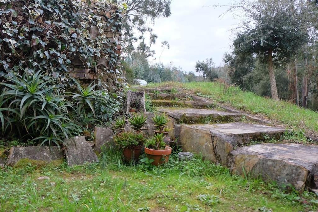Casa Da Ruiva Villa Serra Buitenkant foto